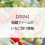 【2026】稲鍵ファームのいちご狩り情報