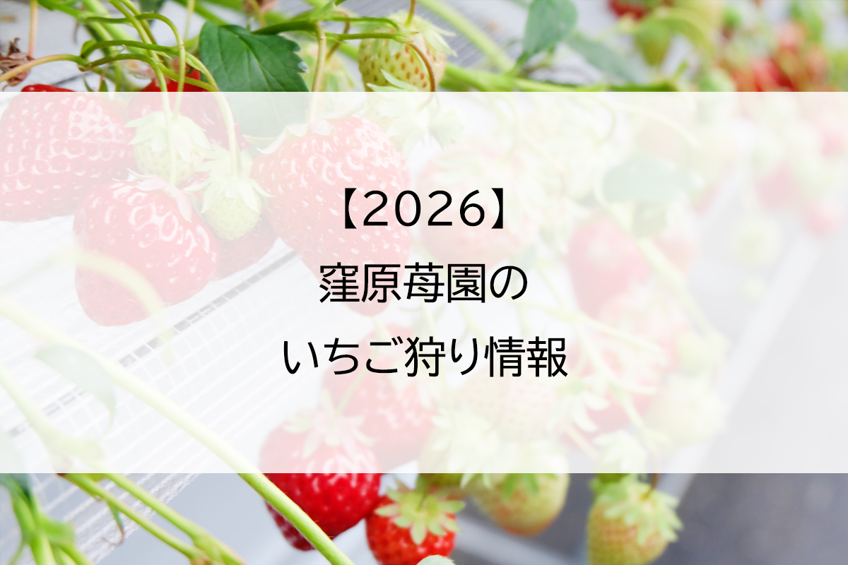 【2026】窪原苺園のいちご狩り情報