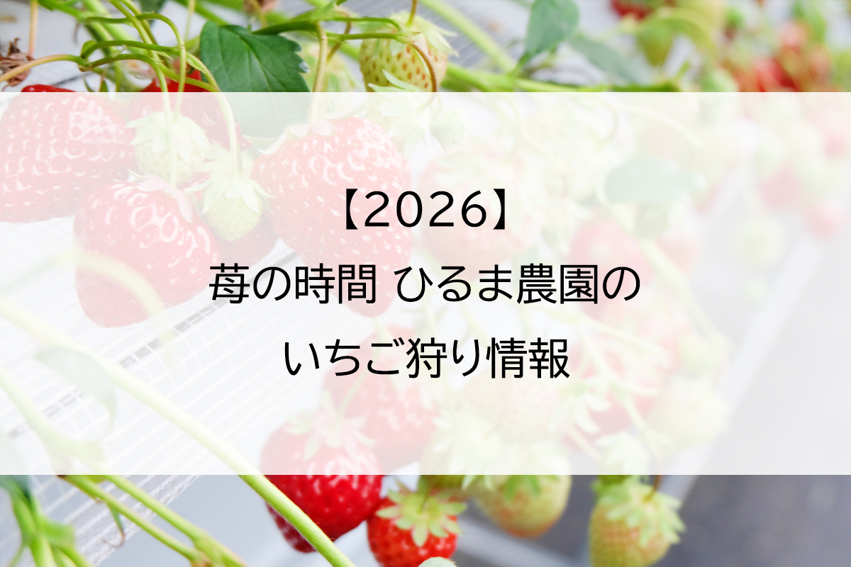 【2026】苺の時間 ひるま農園のいちご狩り情報