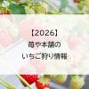 【2026】苺や本舗のいちご狩り情報
