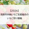 【2026】茂原市本納いちご生産組合のいちご狩り情報