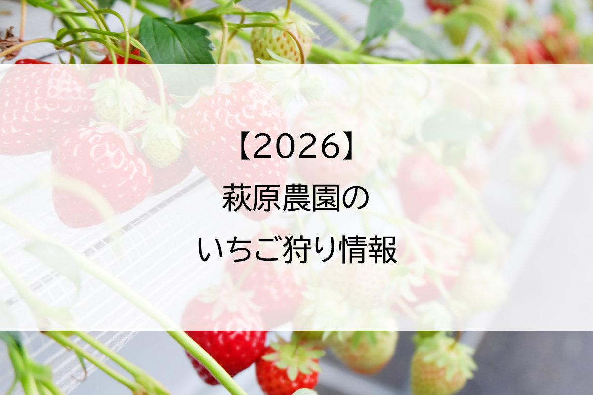 【2026】萩原農園のいちご狩り情報