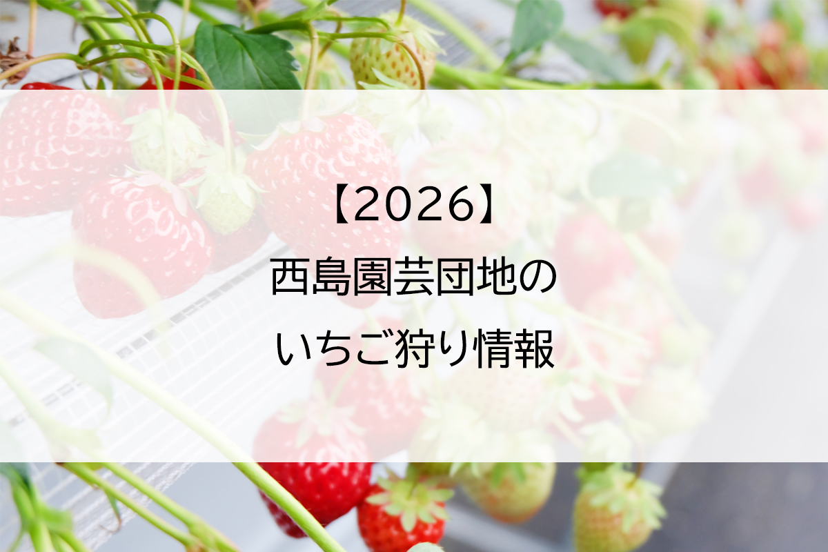 【2026】西島園芸団地のいちご狩り情報