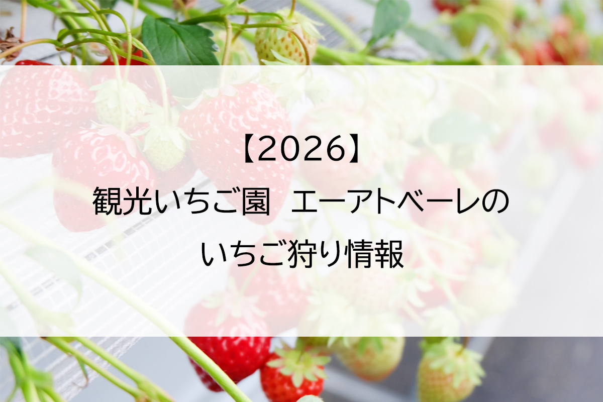 【2026】観光いちご園　エーアトベーレのいちご狩り情報
