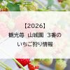 【2026】観光苺　山城園　3番のいちご狩り情報