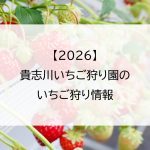 【2026】貴志川いちご狩り園のいちご狩り情報
