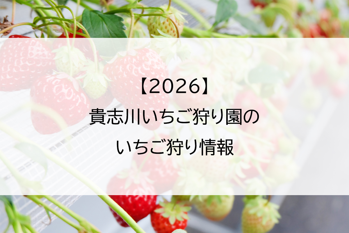 【2026】貴志川いちご狩り園のいちご狩り情報