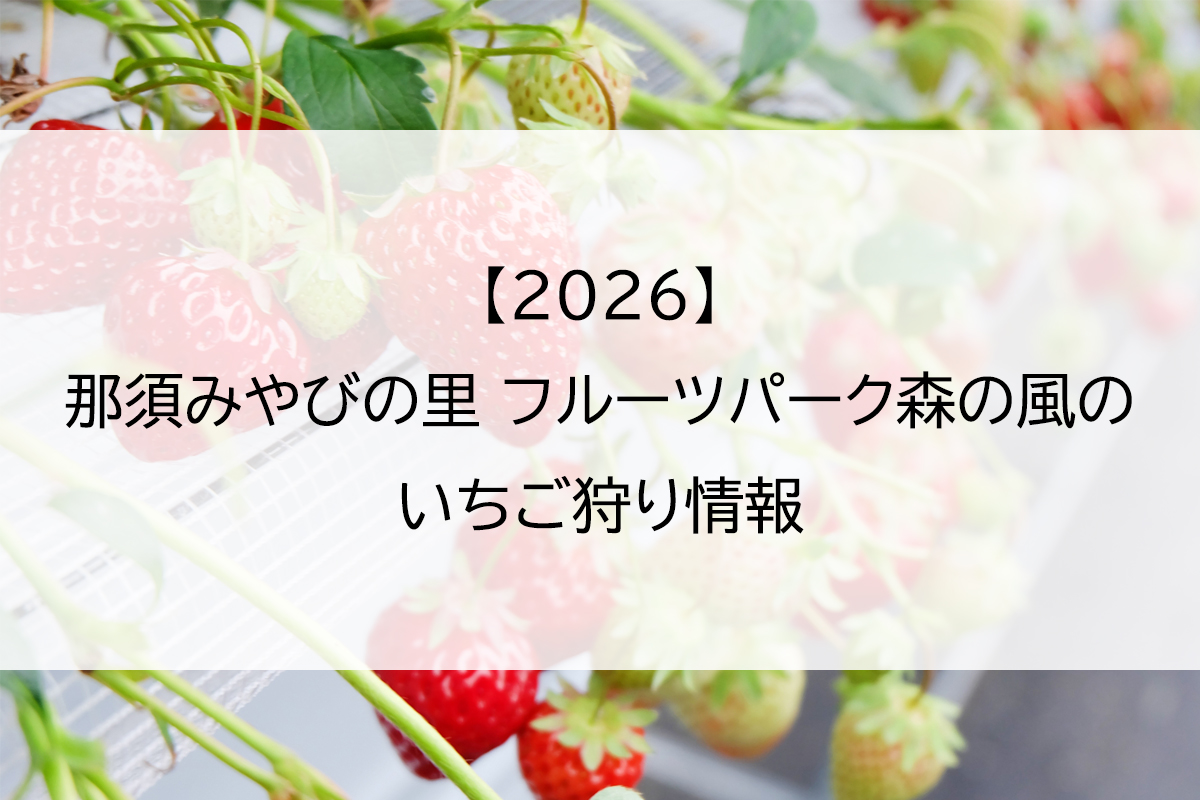 【2026】那須みやびの里 フルーツパーク森の風のいちご狩り情報