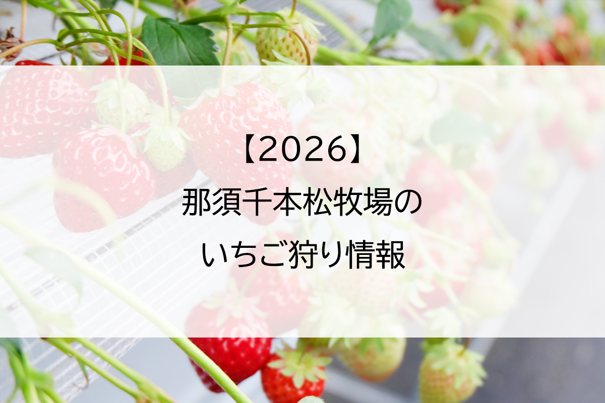【2026】那須千本松牧場のいちご狩り情報