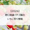 【2026】野口英雄イチゴ園のいちご狩り情報