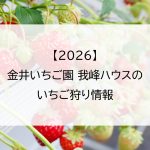 【2026】金井いちご園 我峰ハウスのいちご狩り情報