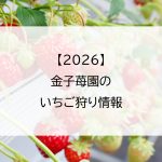 【2026】金子苺園のいちご狩り情報