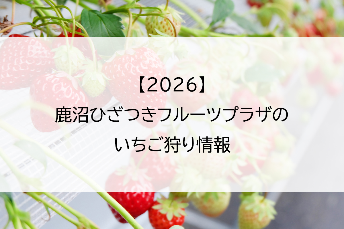 【2026】鹿沼ひざつきフルーツプラザのいちご狩り情報