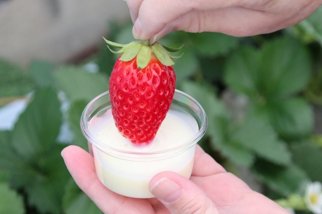 いちごと練乳