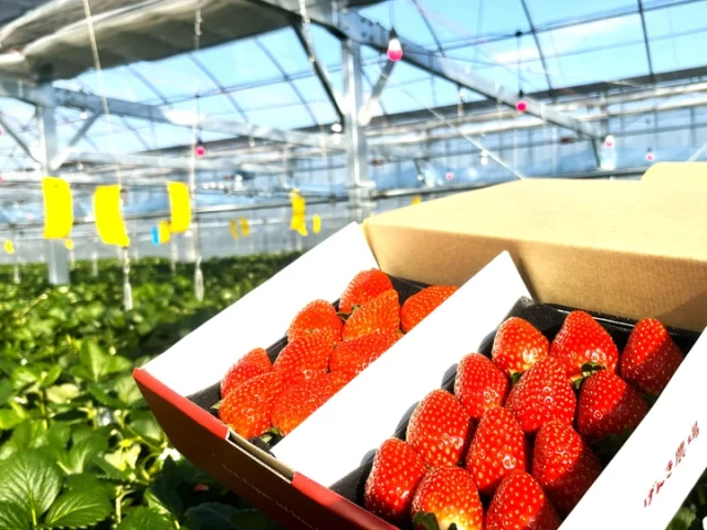 げんき農場 基山農場