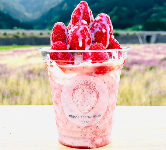 南いちご農園