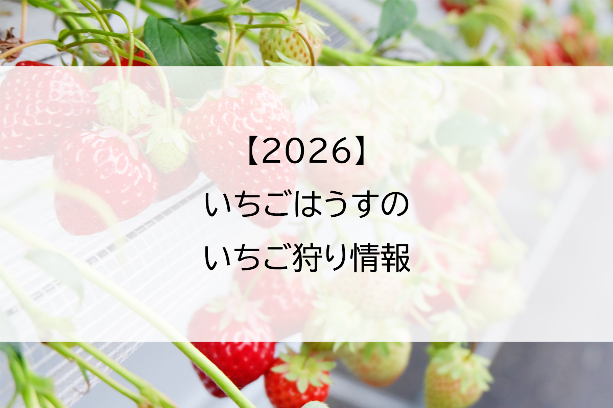 【2026】いちごはうすのいちご狩り情報