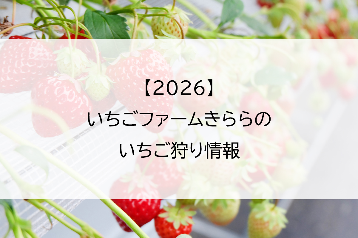 【2026】いちごファームきららのいちご狩り情報