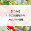 【2026】いちご王国竜王のいちご狩り情報