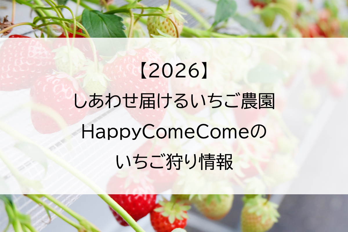 2026】しあわせ届けるいちご農園HappyComeComeのいちご狩り情報