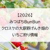 【2026】みつばちBunBun　クロスケの大原野げんき畑のいちご狩り情報