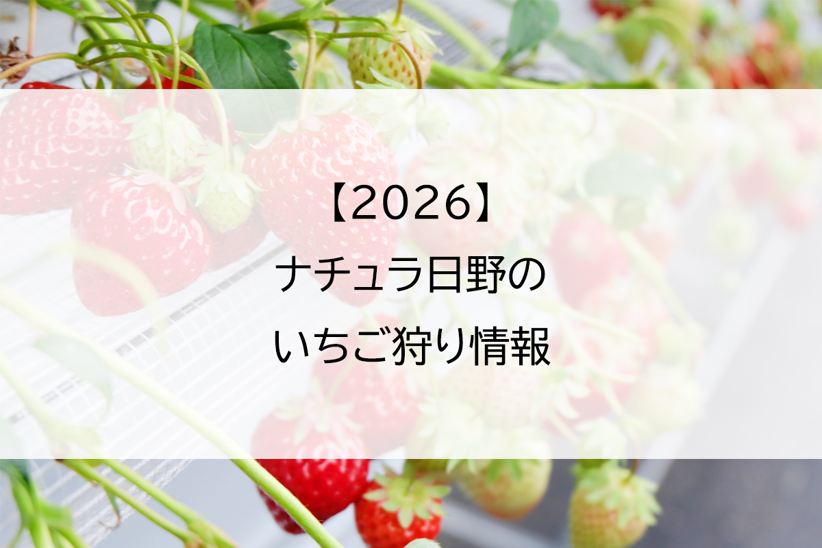 【2026】ナチュラ日野のいちご狩り情報
