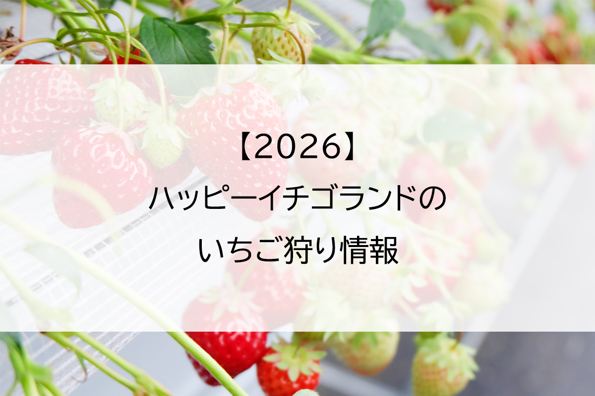 【2026】ハッピーイチゴランドのいちご狩り情報