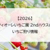 【2026】フィオーレいちご園 2ndハウスのいちご狩り情報