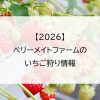 【2026】ベリーメイトファームのいちご狩り情報