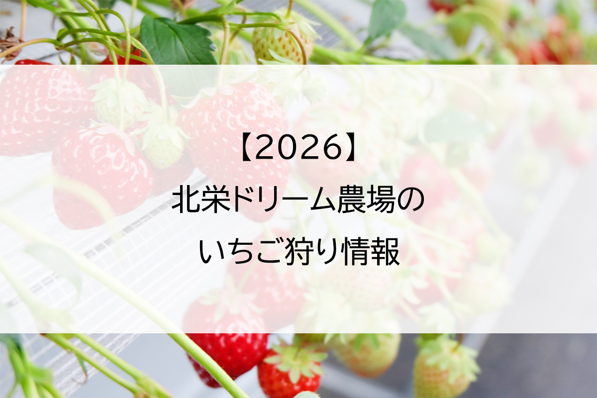 【2026】北栄ドリーム農場のいちご狩り情報