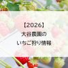 【2026】大谷農園のいちご狩り情報
