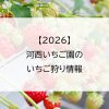 【2026】河西いちご園のいちご狩り情報