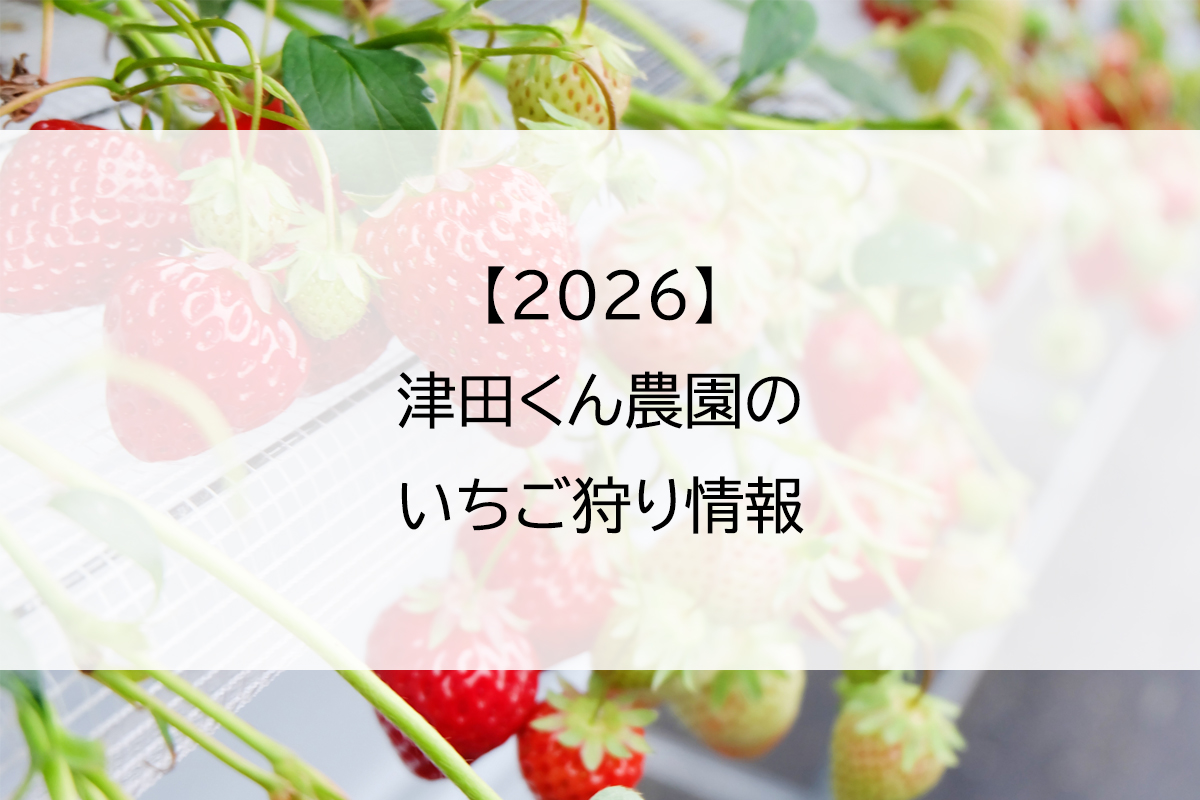 【2026】津田くん農園のいちご狩り情報